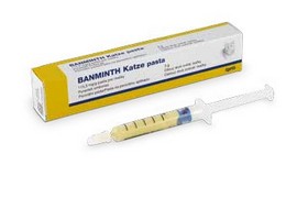 BANMINTH Katze 115.3 mg/g, perorální pasta 3 g