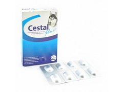 Cestal Plus 50 mg/ 144 mg/ 200 mg žvýkací tablety pro psy 8 tablet