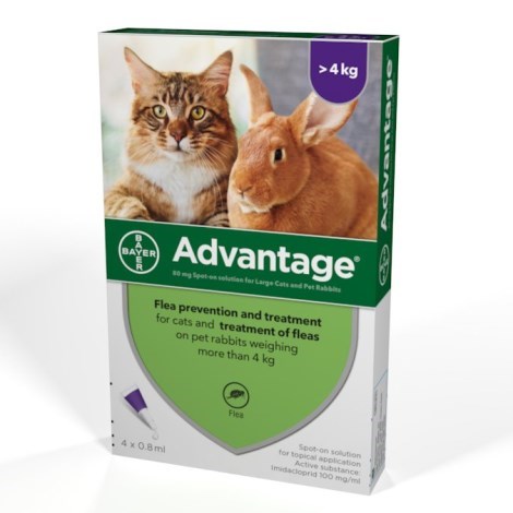 Advantage 80 mg roztok pro nakapání na kůži – spot-on pro velké kočky a králíky 1 x 0.8 ml